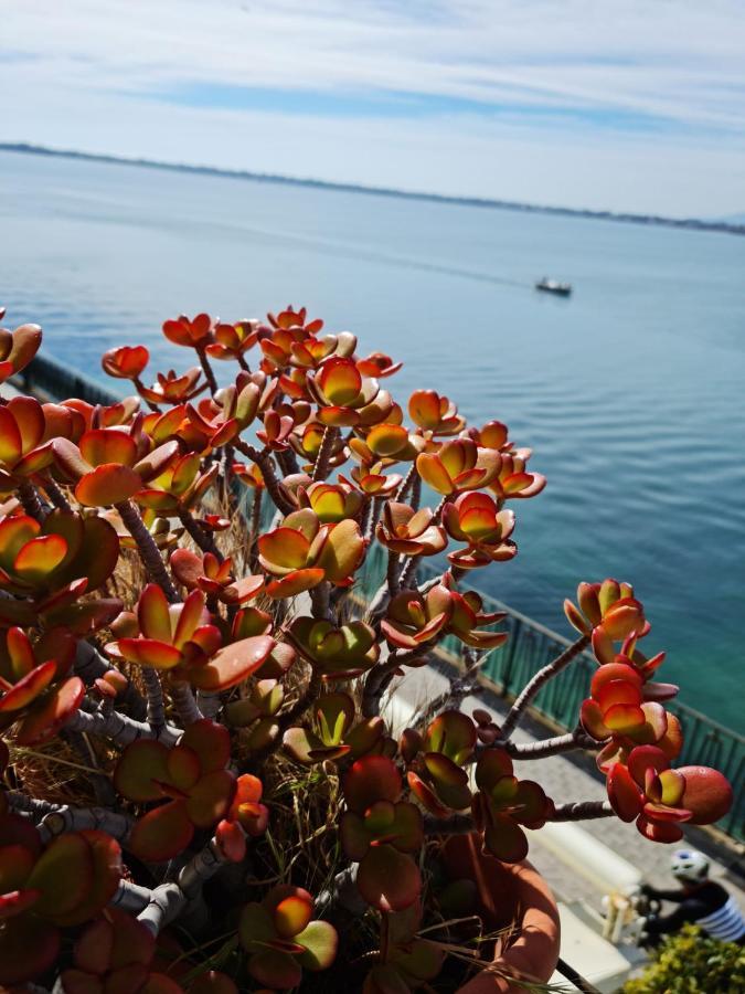 시라쿠사 La Finestra Sul Mare Di Alfeo 아파트 외부 사진